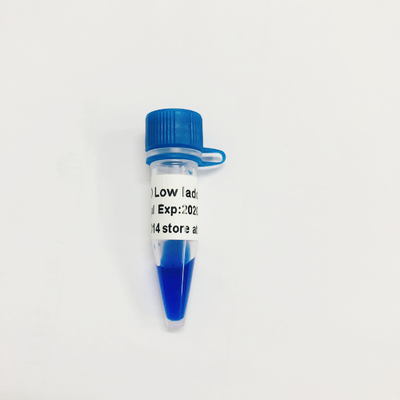 LD Low Ladder DNA Marker LM1031 (60 preps)/LM1032 (60 preps×3)