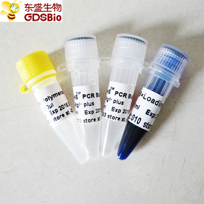HS Hotstart Taq DNA Polymerase PCR Reagent High Specificity P1081 P1082 P1083 P1084