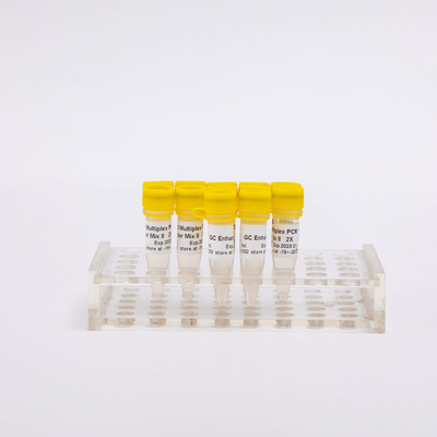 NGS Multiplex 2X PCR Master Mix 400 Reactions Colourless