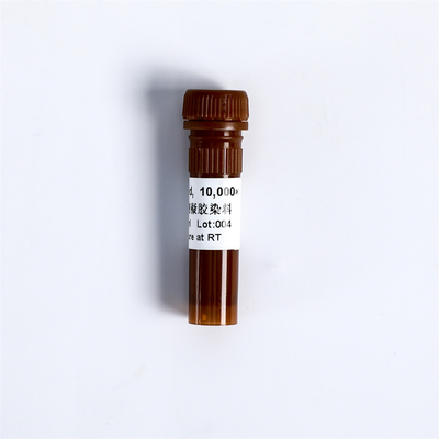 10000× DSRed Nucleic Acid Gel Stain Non Toxic Specific Reagents