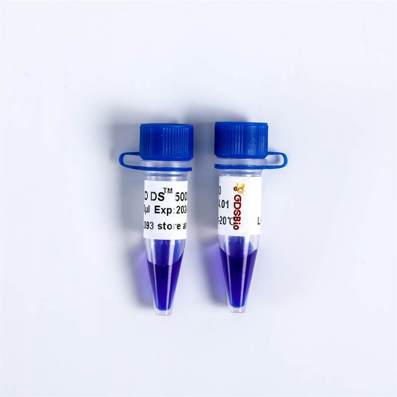 GDSBio Marker 3 DNA Marker Gel Electrophoresis Blue Appearance